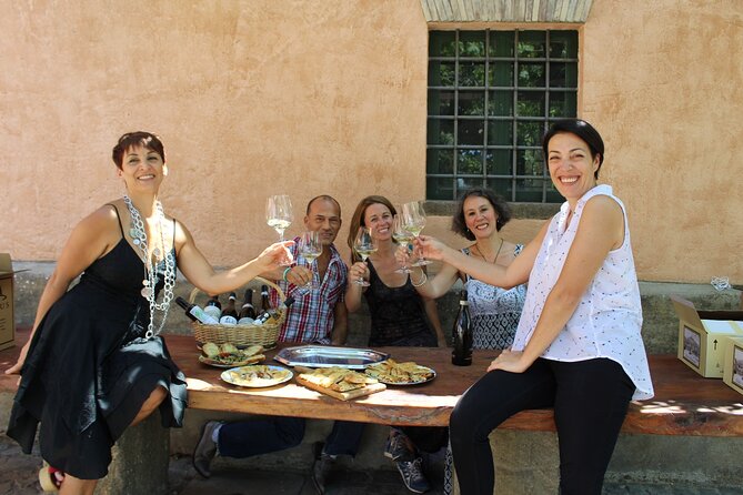 Guided Wine Tasting Experience in a Roman Vineyard - The Vineyard Walk: How Grapes Grow in Roman Hillside Soil