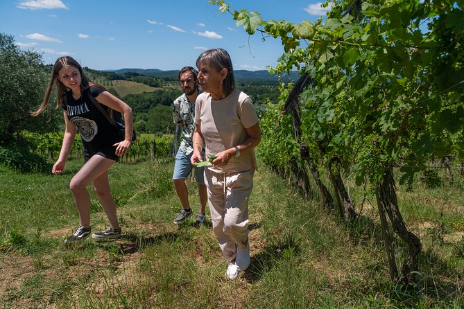 Guided Winery Tour and Wine Tasting in Siena - A short trip in Siena terms, a big step into Tuscan wine