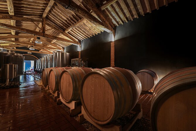 Guided Winery Tour and Wine Tasting in Siena - Vineyard stop: the biological cycle behind organic grapes