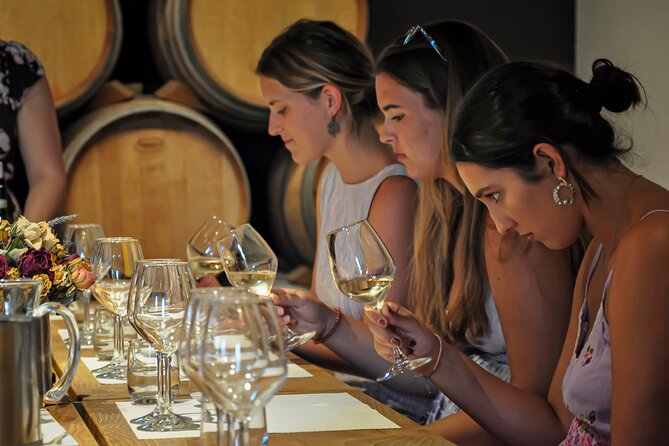 Guided Winery Tour and Wine Tasting in Siena - Tasting room: five organic wines with seasonal bites and olive oil