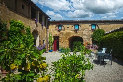 Guided Winery Tour and Wine Tasting in Siena - Cellar stop: quality winemaking, step by step