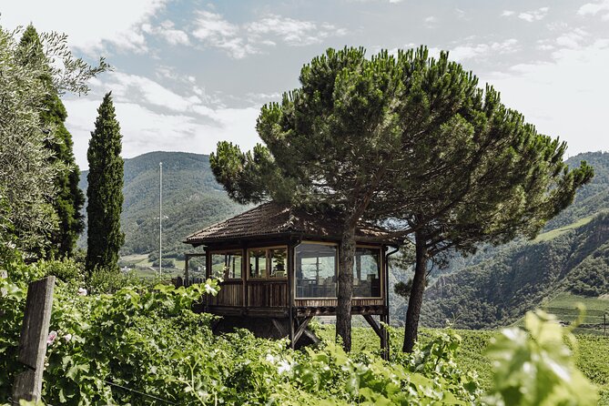 Guided winery tour with tasting in Bolzano at the SKYWINE PAVILLON - Key highlights to look forward to