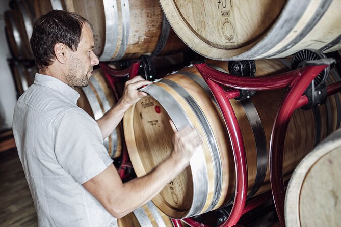 Guided winery tour with tasting in Bolzano at the SKYWINE PAVILLON - Group size, pace, and what 1 hour 30 minutes includes