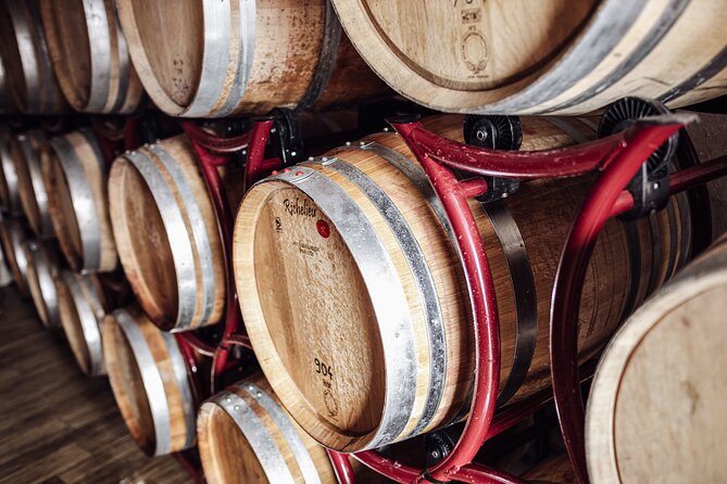 Guided winery tour with tasting in Bolzano at the SKYWINE PAVILLON - Price and value: what $45.86 buys you in Bolzano