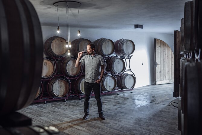 Guided winery tour with tasting in Bolzano at the SKYWINE PAVILLON - The cellar stop: natural winemaking explained in plain terms