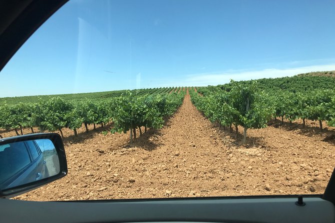 Haft-day Winery tour from Zaragoza - Two wineries, one half-day: how the pacing really works