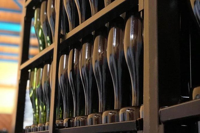 Haft-day Winery tour from Zaragoza - Heredad Ansón in Muel: Garnacha for reds and rosé, Macabeo for whites