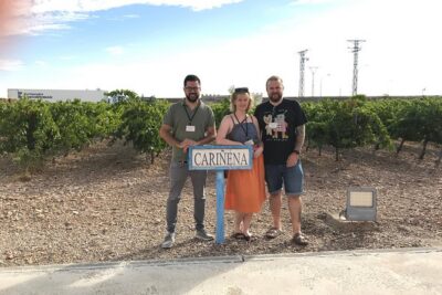 Haft-day Winery tour from Zaragoza - Bodegas Ignacio Marín: a family winery with work that starts in the vineyard