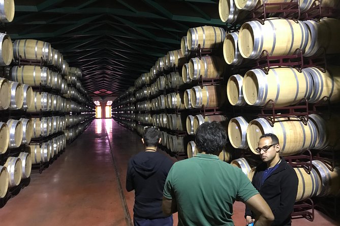 Haft-day Winery tour from Zaragoza - English-friendly guides: Marta and Jorge set the tone