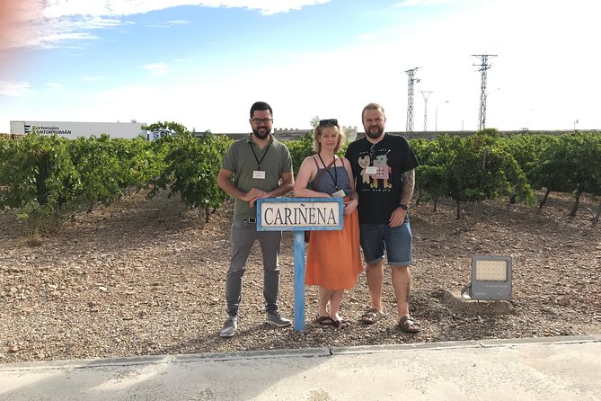 Haft-day Winery tour from Zaragoza - Bodegas Ignacio Marín: a family winery with work that starts in the vineyard