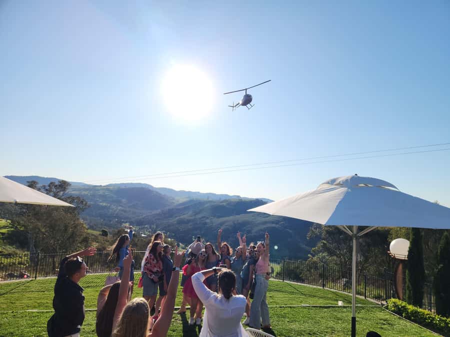 Half-Day Canberra Winery Tour - Who should book this Canberra winery tour (and who should skip)