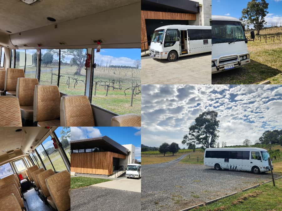 Half-Day Canberra Winery Tour - The guide and social side: how you’ll spend your time
