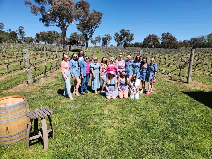 Half-Day Canberra Winery Tour - Pickup, comfort, and the bus reality check