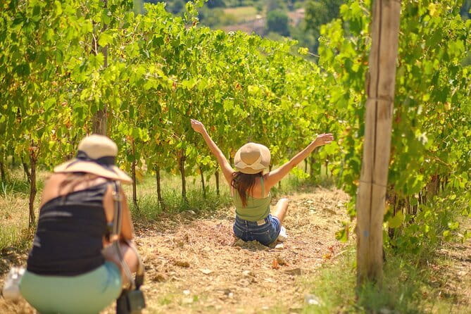 Half day Chianti Vineyard Escape from Florence with Wine Tastings - Key Points That Make This Chianti Escape Worth It