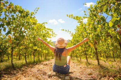 Half day Chianti Vineyard Escape from Florence with Wine Tastings - The Chianti Road Drive: Where the Background Happens