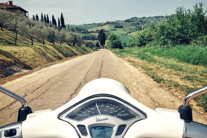 Half day Chianti Vineyard Escape from Florence with Wine Tastings - What the Wine Tastings Really Mean (Beyond the Pour)