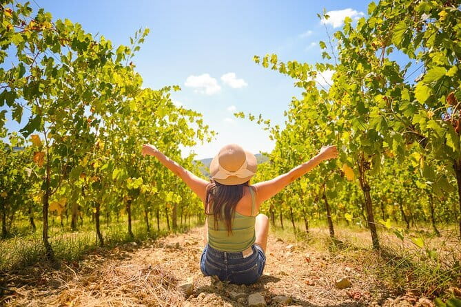 Half day Chianti Vineyard Escape from Florence with Wine Tastings - The Chianti Road Drive: Where the Background Happens