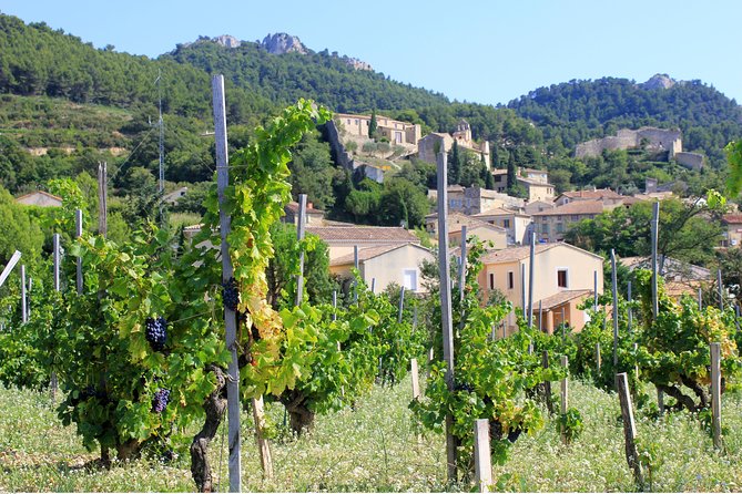 Half Day Great Vineyard Tour from Avignon - Why Châteauneuf-du-Pape Works So Well in Half a Day