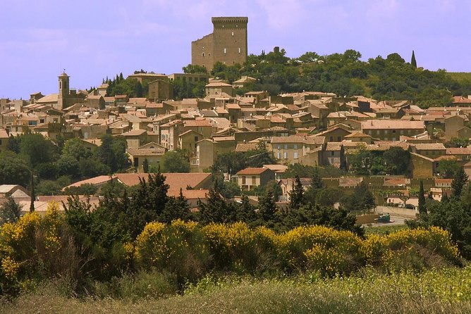 Half Day Great Vineyard Tour from Avignon - Stop in Châteauneuf-du-Pape: Tastings, Grapes, and Vineyard Views