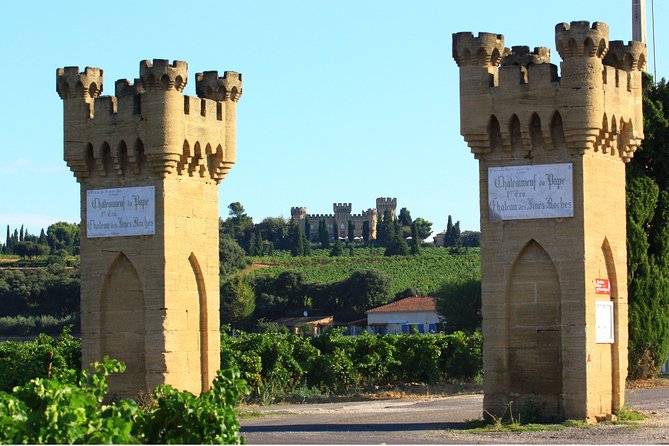 Half Day Great Vineyard Tour from Avignon - How You’ll Learn to Taste (Without Pretending It’s Magic)