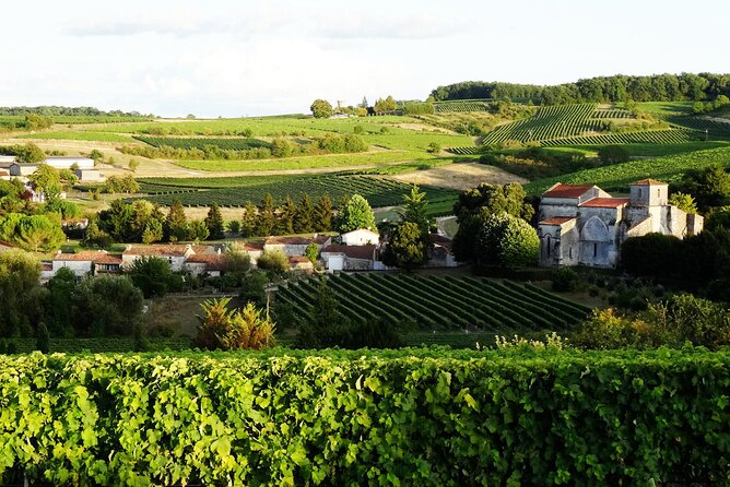 Half-day Guided E-Bike Ride to Discover The Cognac Vineyard - Key highlights that make this e-bike tour worth it