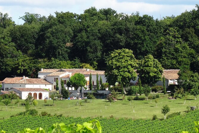 Half-day Guided E-Bike Ride to Discover The Cognac Vineyard - The 25 km e-bike ride: easy pace, real countryside time