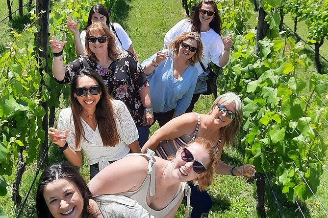 Half Day Martinborough Winery Tour from Wellington - The Remutaka Hill Drive: Scenic Focus With a Real Setup