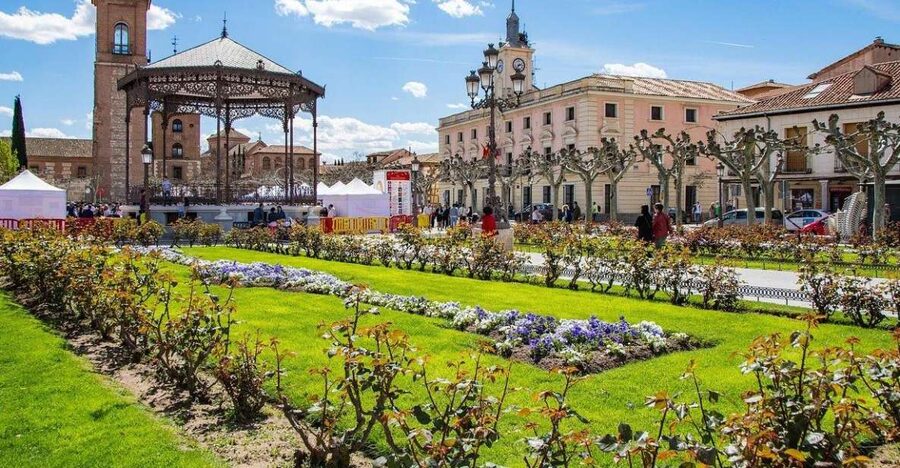 Half-Day Trip from Madrid: Alcalá de Henares & Winery Visit - Who this half-day trip fits best (and who should rethink it)