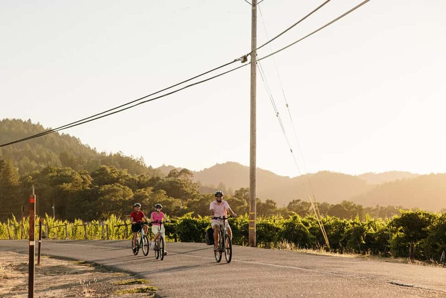 Healdsburg: Guided Electric Bike Wine Tour with Winery Stops - Meeting up in Healdsburg and getting your e-bike set