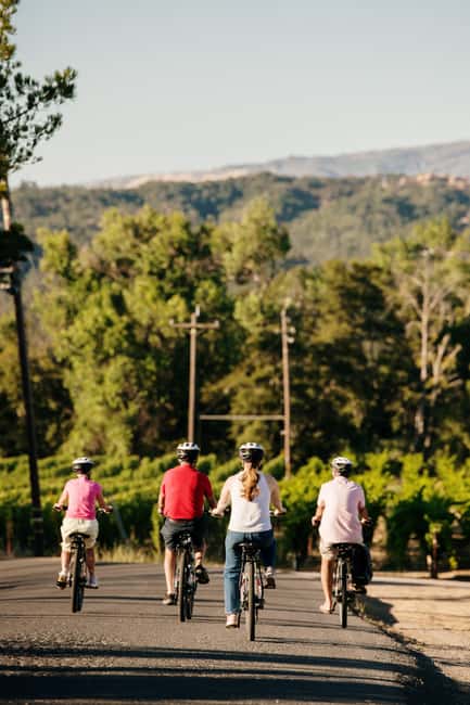 Healdsburg: Guided Electric Bike Wine Tour with Winery Stops - The pace that fits a wine-tasting morning