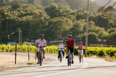 Healdsburg: Guided Electric Bike Wine Tour with Winery Stops - Why an electric bike makes wine country feel more doable