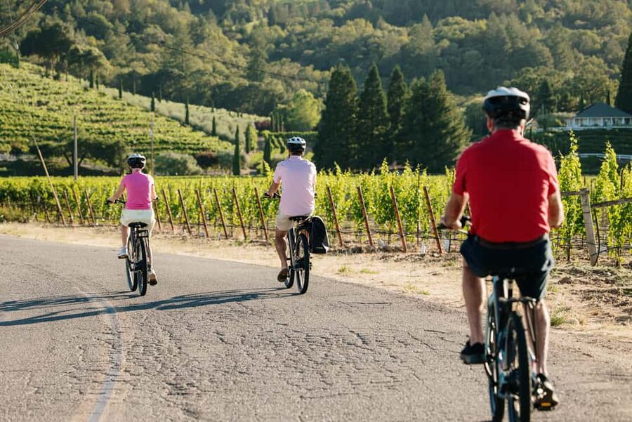 Healdsburg: Guided Electric Bike Wine Tour with Winery Stops - Stop 2: second winery tasting (75 minutes)