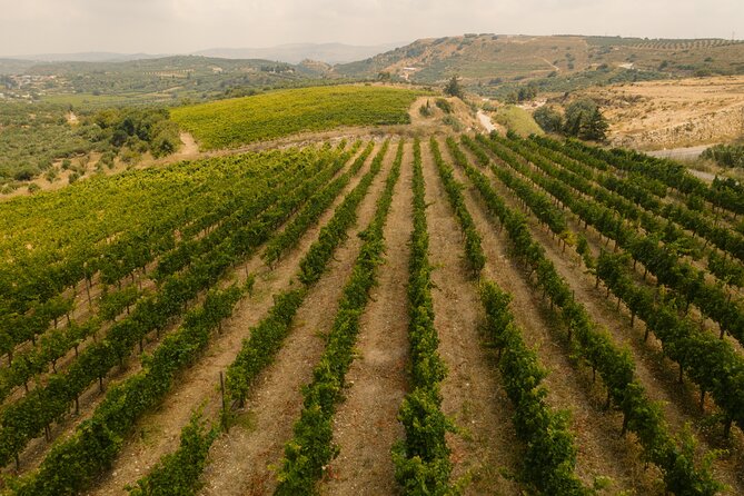 Heraklion Private Half-Day Gastronomy Diaries Experience in Lyrarakis Winery - Price and Value: what $276.95 per person buys you