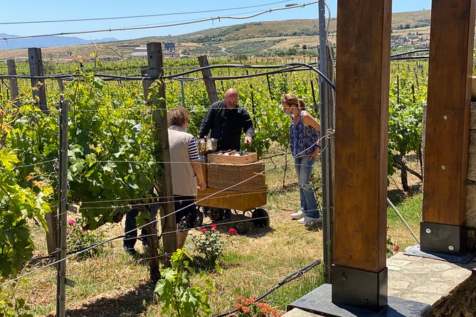 Heraklion Private Half-Day Wine Tasting Tour in Lyrarakis Winery - Price and value: what $183.42 per person buys you