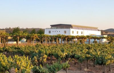 Herdade Canal Caveira - Winery Visit 4 Wines & Tapas - The 45-hectare estate walk: what you actually learn on-site