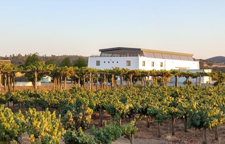 Herdade Canal Caveira - Winery Visit 4 Wines & Tapas - The 45-hectare estate walk: what you actually learn on-site