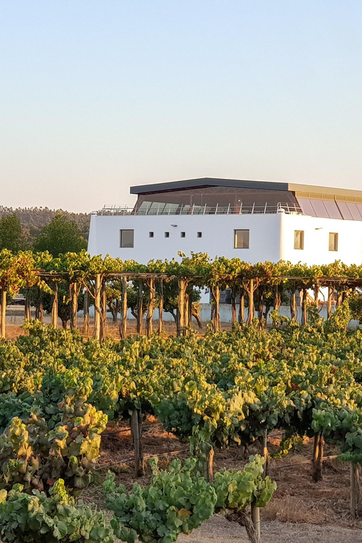 Herdade Canal Caveira Winery Visit with TOP5 Wines & Tapas - The Setting Details: Mountains, Coast, and That “Stop on the Road” Feeling