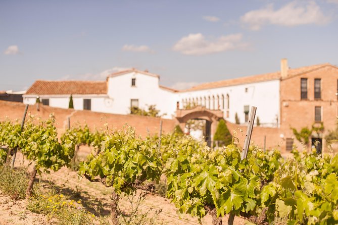 High-End Vineyard Escape: Cava, Tapas & Wine | Private Tour - The Tapas Lunch: Catalonia on a Veranda (and Not an Afterthought)