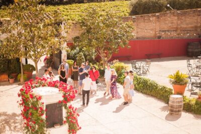 High-End Vineyard Escape: Cava, Tapas & Wine | Private Tour - Oller del Mas: Family Ownership With a Strong Sense of Place