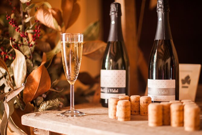 High-End Vineyard Escape: Cava, Tapas & Wine | Private Tour - Price and Value: Is $598.87 Per Person Worth It?