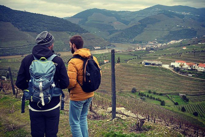 HIKING in the Douro Valley - Price and Value: Is $90.31 a Good Deal?