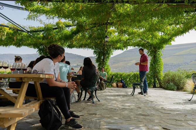 HIKING in the Douro Valley - Guides, Group Size, and the Pace You’ll Actually Feel