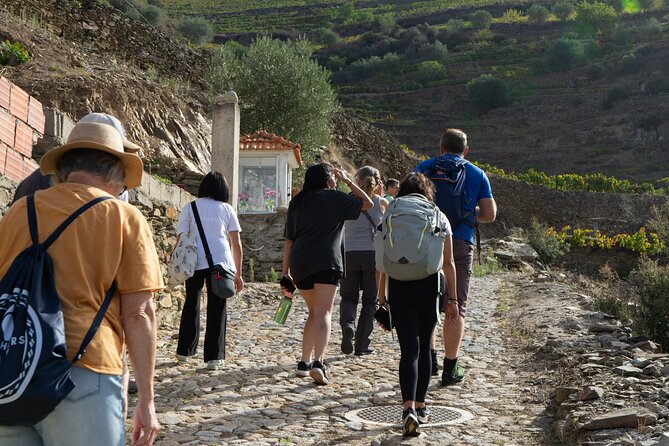HIKING in the Douro Valley - The Main Event: A 4-Hour Hike Through Douro Vineyards