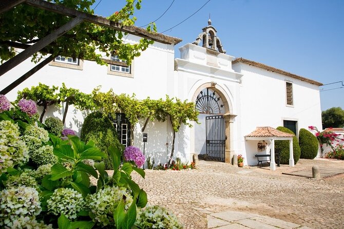 Historic Winery Tour and Tasting in Bombarral - Key highlights worth planning around