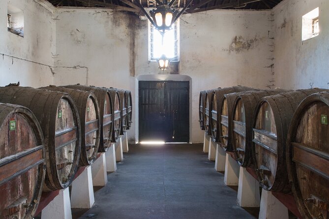 Historic Winery Tour and Tasting in Bombarral - Meeting point timing and how long it really takes