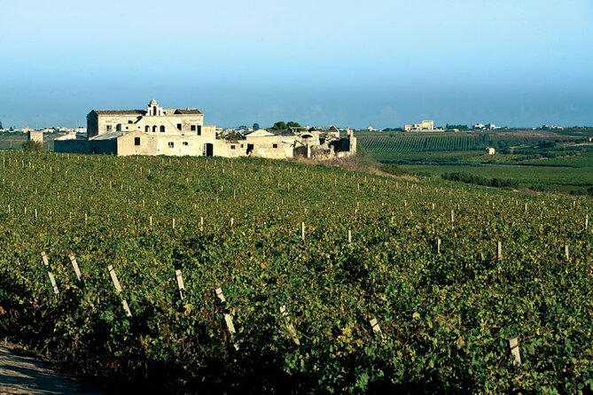 Historic winery visit with food and wine tasting in Marsala - A Historic Marsala Winery Visit, With a More Practical Location
