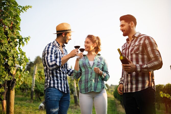 Historic winery visit with food and wine tasting in Marsala - Timing, Group Size, and How to Make the Most of the Hour