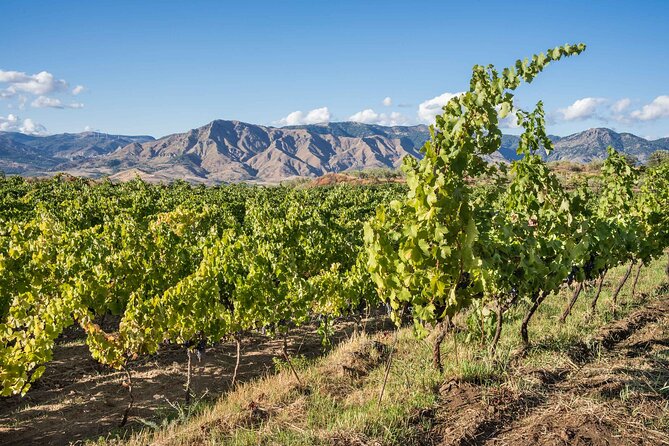 History & Local Wines: Amphitheater, Mitrium and Winery Visit - A Winery in Front of Vesuvius: Wine Tastings With Traditional Food