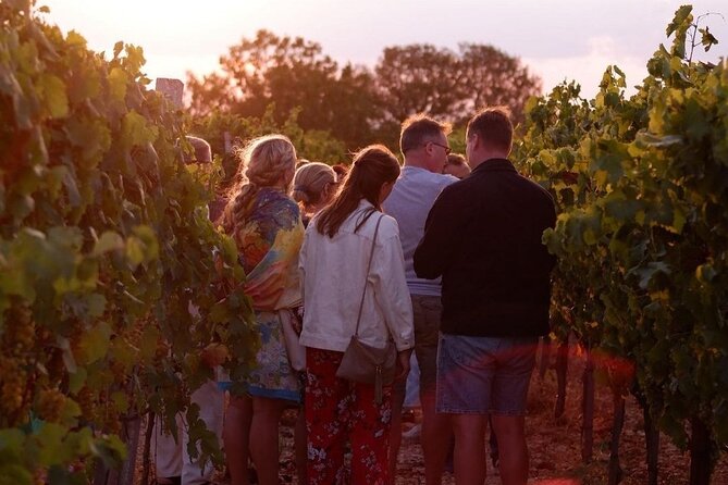 History & Local Wines: Amphitheater, Mitrium and Winery Visit - Who This Tour Suits Best (and Who Might Want Something Else)