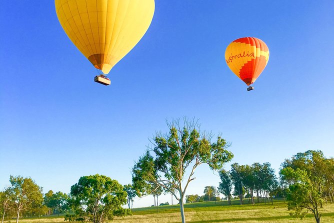 Hot Air Balloon Flight Brisbane with Vineyard Breakfast - Champagne breakfast at O’Reilly’s: the part you’ll look forward to